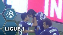 But Wissam BEN YEDDER (12ème) / Toulouse FC - LOSC - (1-1) - (TFC-LOSC) / 2015-16