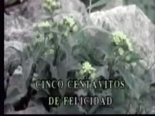 CINCO CENTAVITOS - JULIO JARAMILLO