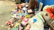 More than 1.09 lacks ton of wastes are removed from Chennai flood areas | Chennai flood Ne