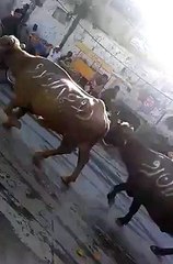 ہاہاہا اب اس سے زیادہ تو کچھ نہیں ہو سکتا اخیر ہے Ro Imran Ro