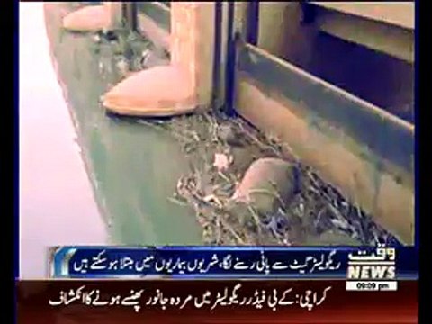 Birds Dead Bodies Found From Keenjhar Lake Karachi
