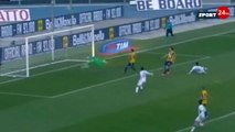Hellas Verona vs Sassuolo 1-1  All Goals 20.12.2015 HD