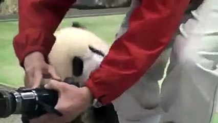 Don't leave me. I can change I swear!