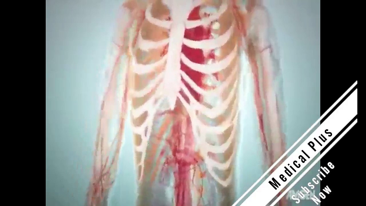 Bone Remodeling and Modeling