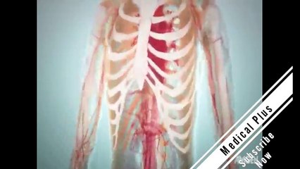 Bone Remodeling and Modeling