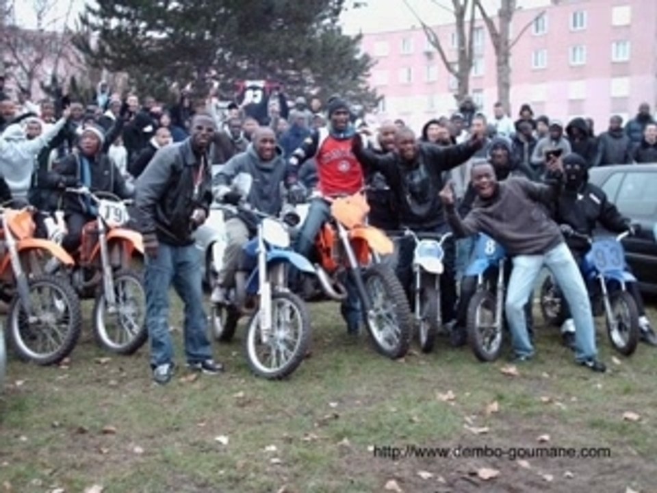 BECANES COURTILLIERES