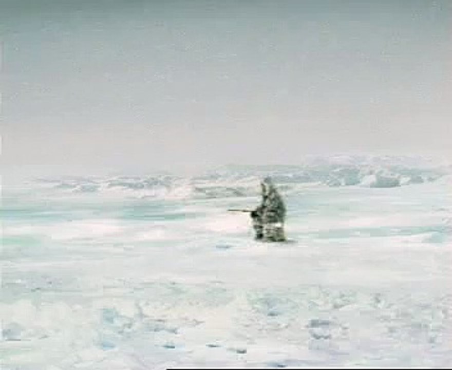 Ice Fish
