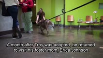 Troy - video update (Make sure to check out the video of his rescue - link below).