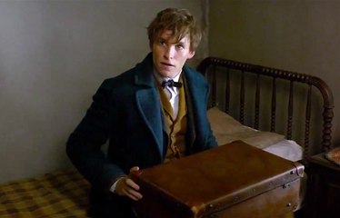 Fantastic Beasts and Where to Find Them - Official Teaser Trailer