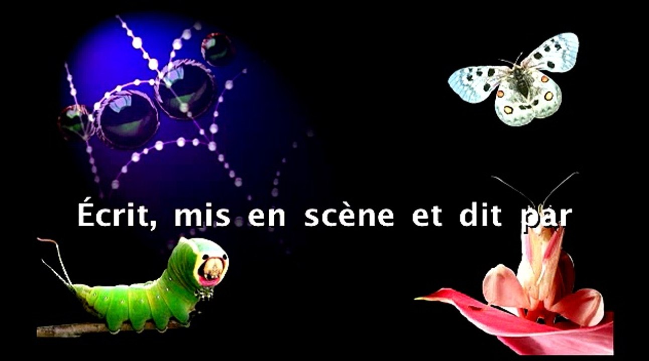 LeCirqueDeLilliput 17.12.2015
