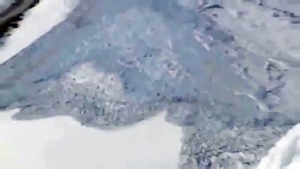 Dağ keçileri çığdan böyle kurtuldu - YEDİBAHAR