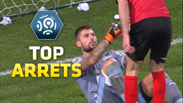 Top arrêts 19ème journée - Ligue 1 / 2015-16