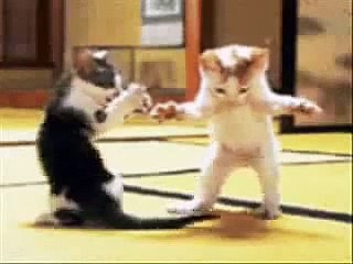 kemal sunal yaylalar komik kediler