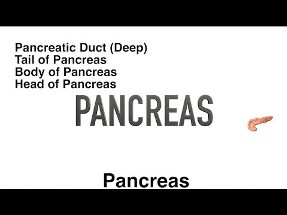 Pancreas - Quiz