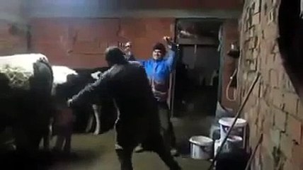 Adamlar ahırda coştu abi - YEDİBAHAR