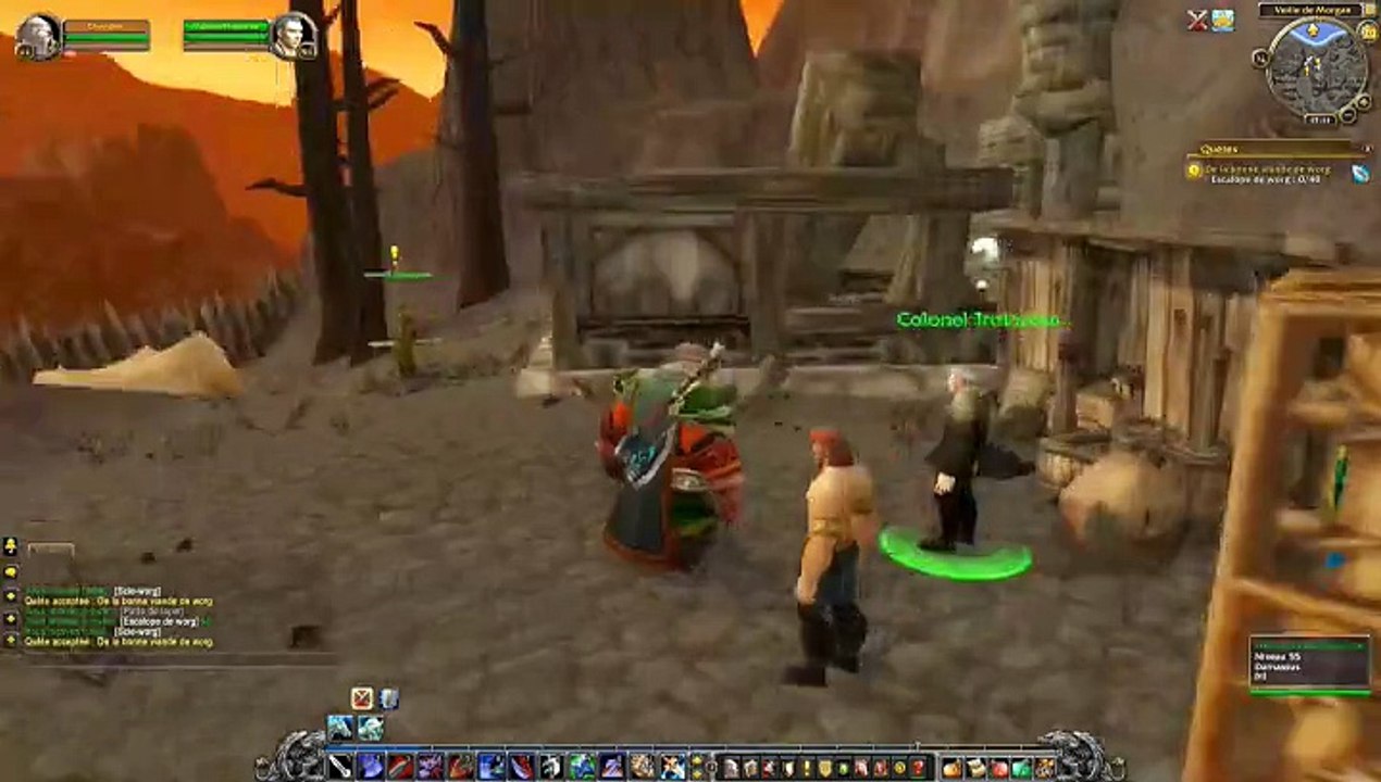 warcraft  (   de  la  bonne  viande  de  worg    )    612