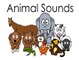 Animal Sounds-Learn Animals Names for Children- Toddlers Kids-Learning for Preschool Babies