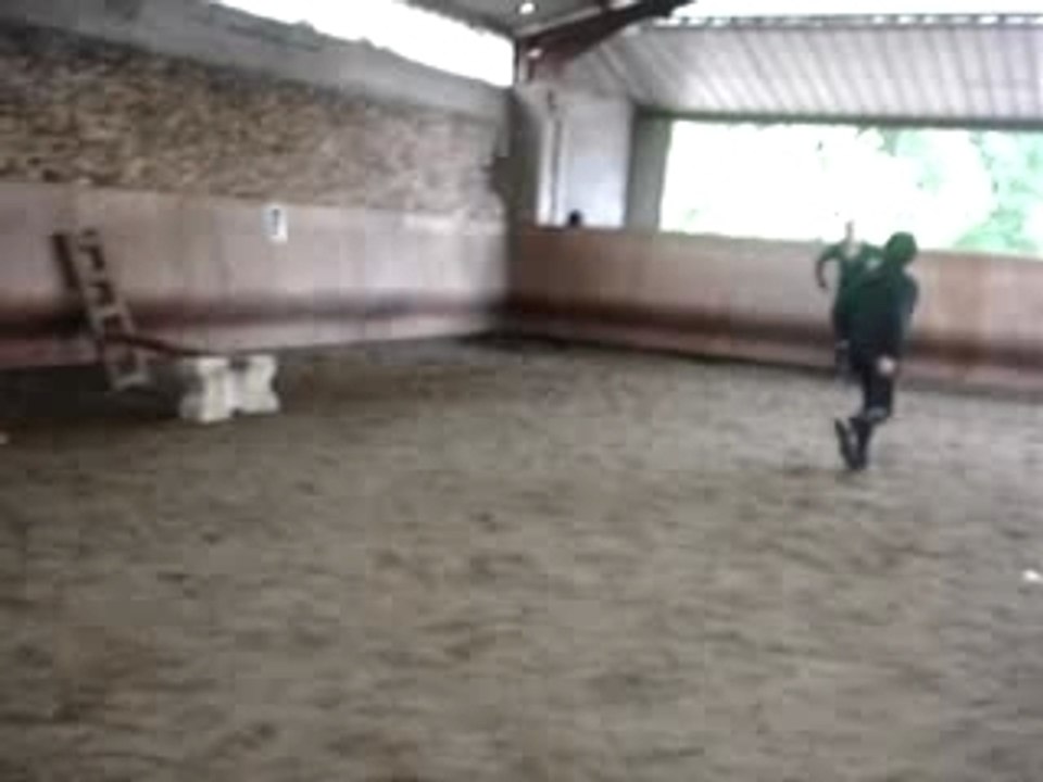 damien...jador le saut...