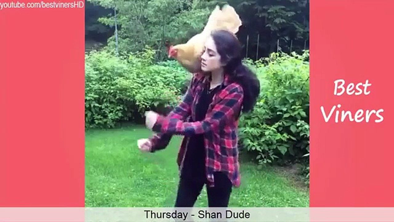 Top 100 Funny Animals Vines 2015 - Vine compila...