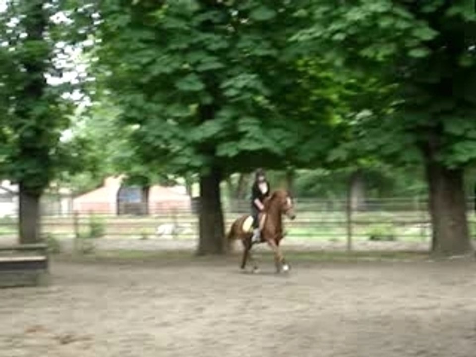 flo et bibou au cross