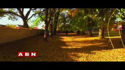 Something Special ; Sedlec Ossuary bone church,