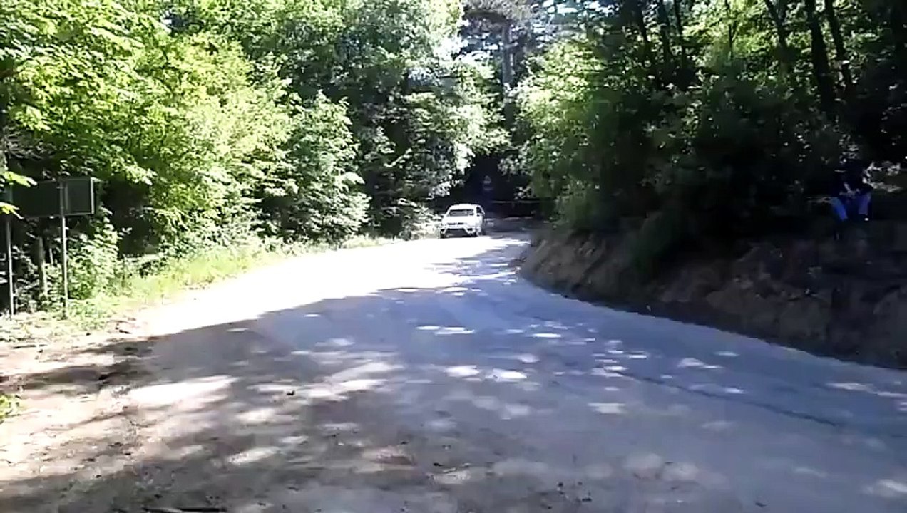 Yalta Rally 2011 3)