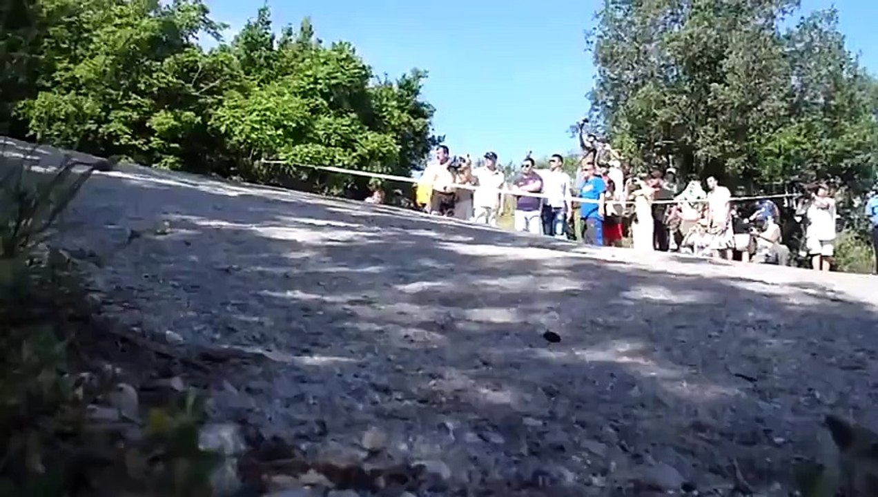Yalta Rally 2011 11)