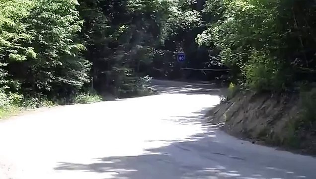 Yalta Rally 2011 14)