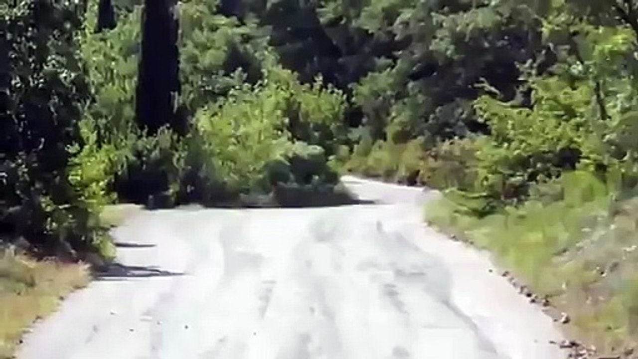 Yalta Rally 2011 Skoda s2000