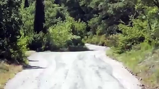 Yalta Rally 2011 Skoda s2000