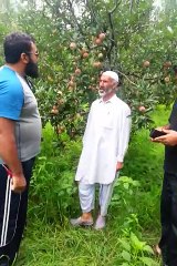 Apple garden matta road swat (biking to swat vally