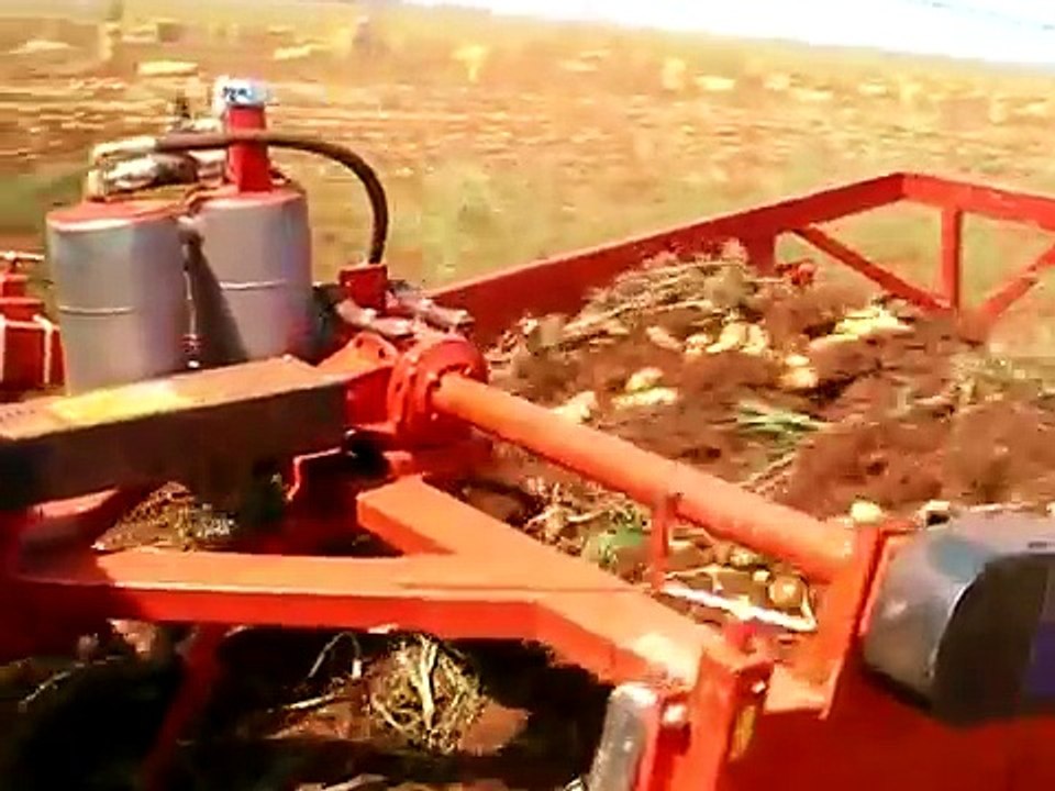 Potato digger. 2 Rows _Arrancadora de patatas. 2Hileras _Arracheuse pommes de terre