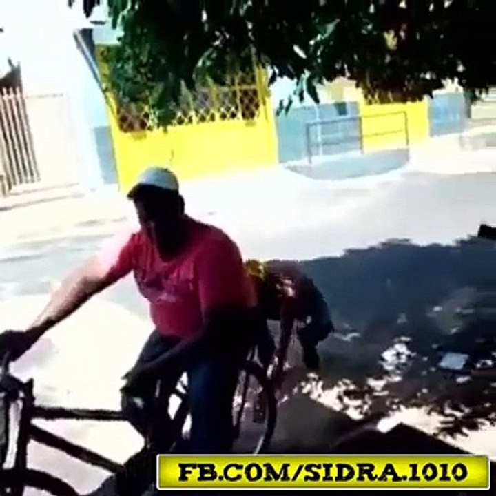 Funny clips collection