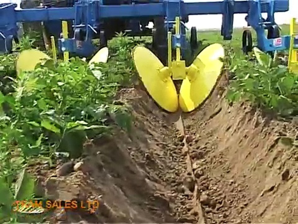 TRAM   Spedo Potato Ridger