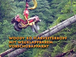 Leistungsstarker Woody 60 Prozessor von Konrad Forsttechnik 🚜