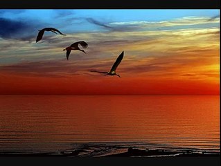 Doğanın Ruhu - Huzur verici..