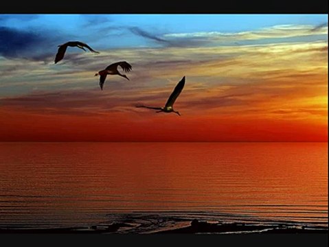 Doğanın Ruhu - Huzur verici..