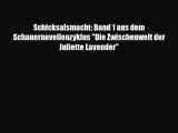 Schicksalsmacht: Band 1 aus dem Schauernovellenzyklus Die Zwischenwelt der Juliette Lavender