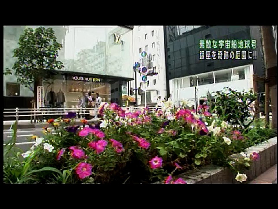 屋上緑化：銀座でコメ作り