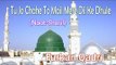 Tu Jo Chahe To Mail Mere Dil Ke Dhule ☪ Furkan Qadri ☪ New Naat Sharif [HD]