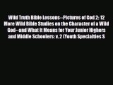 Wild Truth Bible Lessons--Pictures of God 2: 12 More Wild Bible Studies on the Character of