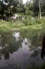 Vidio Amatir Detik-Detik Kecelakaan Pesawat T50i Jatuh