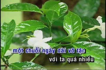 Nỗi đau ngày qua - Minh Tuyet karaoke HD