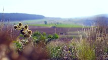 Produire avec la Nature - Vers un pâturage gagnant-gagnant: une approche territoriale