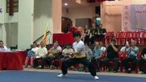 Human Mobile Stage 94, 2015 Zhou Jia Quan Int'l conference@Singapore, Lion Dance Kung Fu