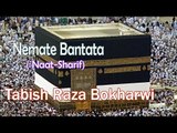 HD New Naat Sharif || Nemate Bantata Jis Samt Wo Jishan Gaya || Tabish Raza Bokharwi