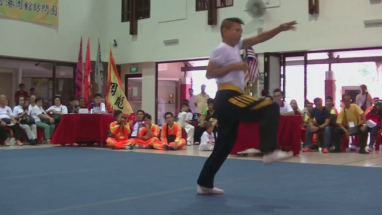Human Mobile Stage 97, 2015 Zhou Jia Quan Int'l conference@Singapore, Lion Dance Kung Fu