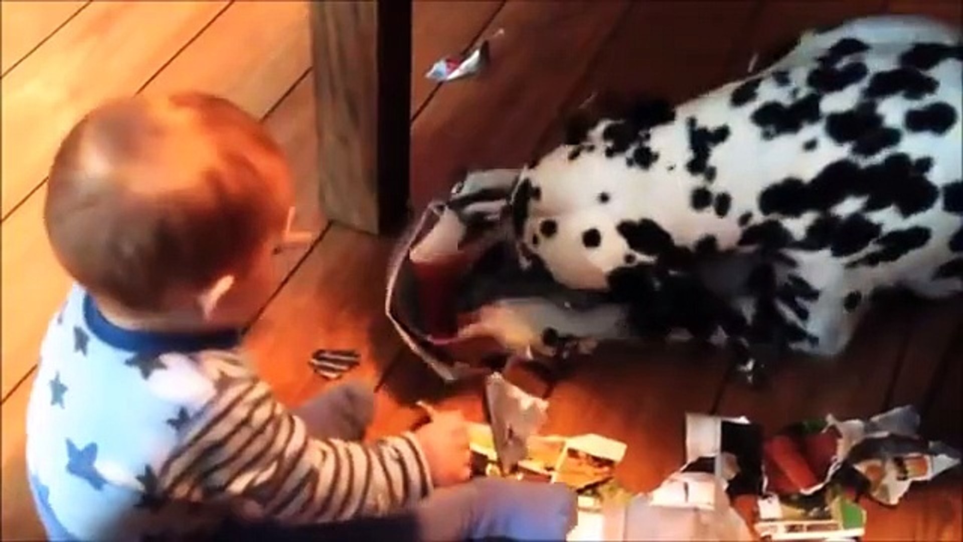 DOGS & BABIES CLASH funny