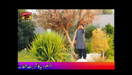 Gali - Ameer Niazi - Charkha - Vol 4 - New Hits Song