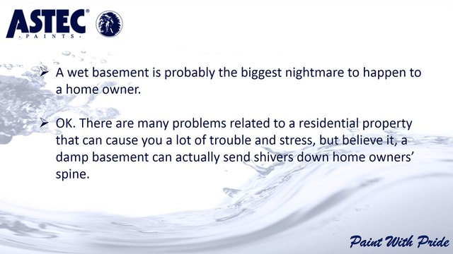 Considering Basement Waterproofing? Don’t Miss Out on these Waterproofing Considerations